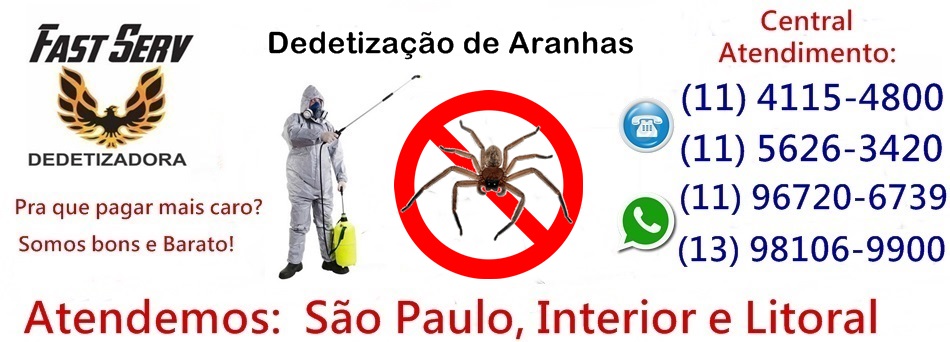 Dedetização de Aranhas